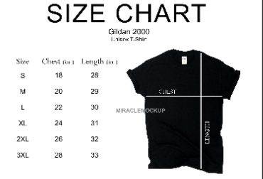 Stevie Nicks Rainbow Black Hat Shirt