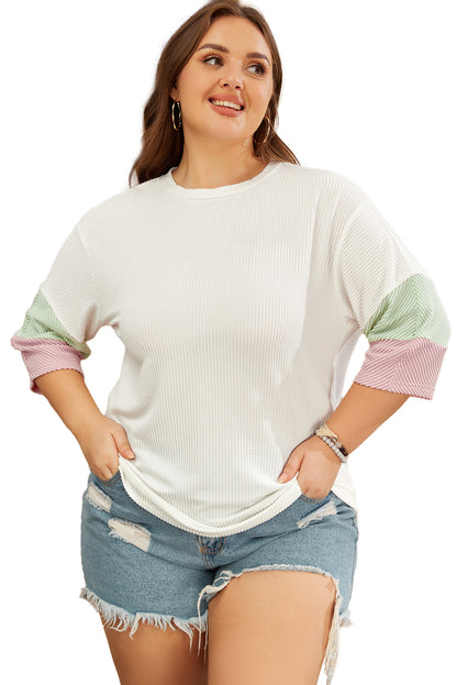 White Textured Colorblock Patchwork Half Sleeve Plus T Shirt