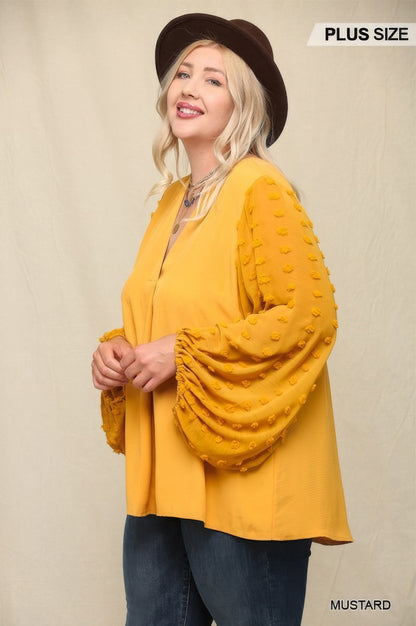 Woven And Textured Chiffon Top With Voluminous Sheer Sleeves